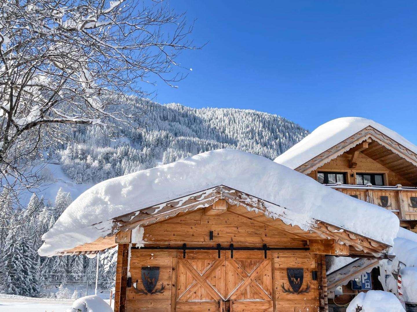Genusshotel Vermala Montafon Санкт-Галленкирх Экстерьер фото